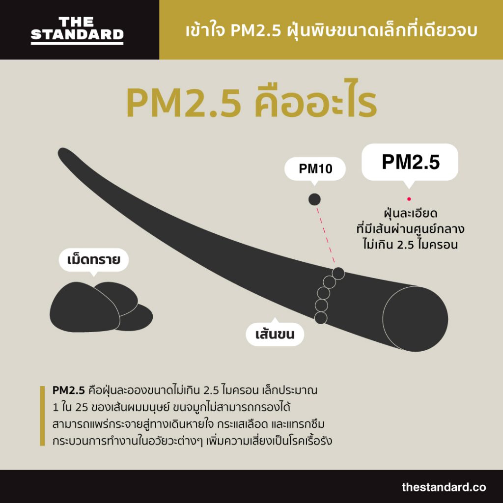 เข้าใจ PM 2.5 ฝุ่นพิษขนาดเล็กที่เดียวจบ