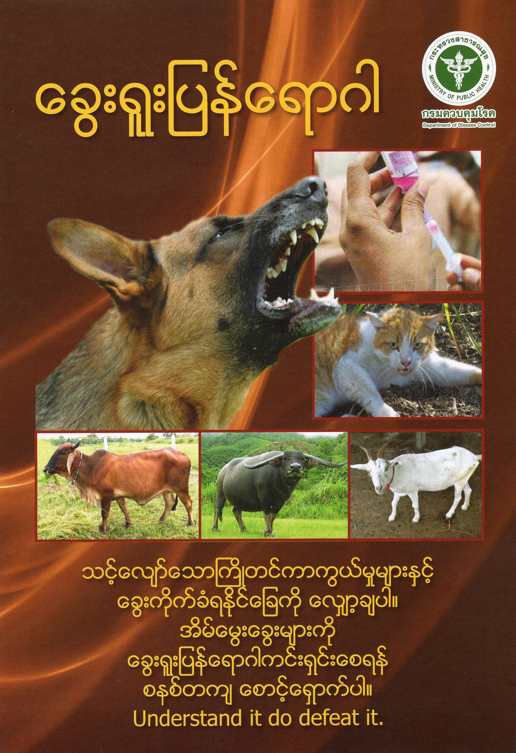 พิษสุนัขบ้า ภาษาพม่า